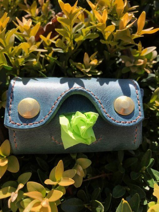 Etui pour sacs à déjections